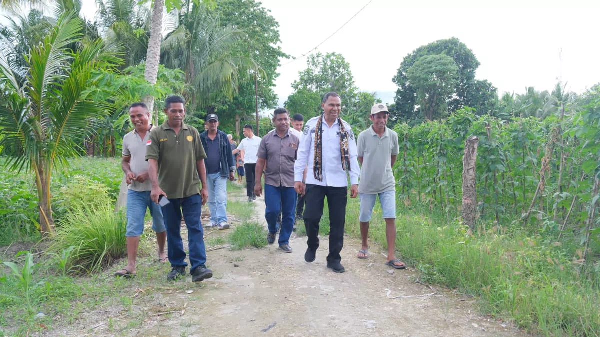 Bibit Mahal, Alsintan Minim,Wagub NTT Johni Asadoma Turun Langsung Dengarkan Keluhan Petani Oesao
