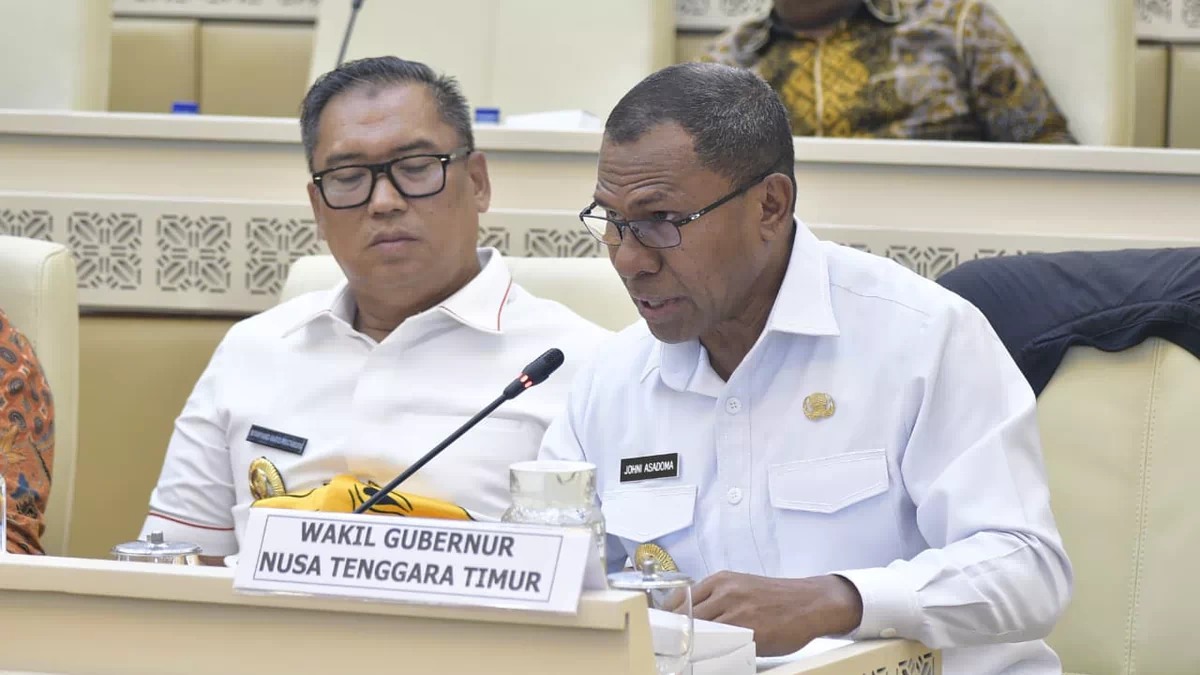 Wagub NTT Johni Asadoma Paparkan Masalah Perbatasan RI–RDTL di Komisi II DPR RI