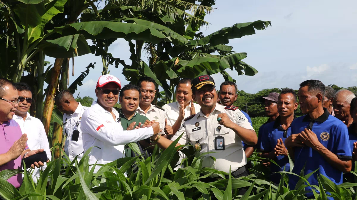 Warga Binaan Lapas Kupang Sulap Lahan Tandus Jadi Kebun Produktif Dukung MBG, Wagub NTT, Contoh Nyata
