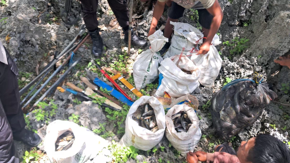 Racuni Ikan di Pulau Nusamanuk, 8 Nelayan Rote Ndao Diamankan Polisi, Terancam UU Perikanan