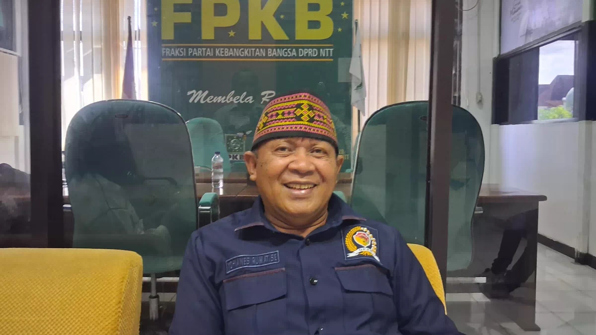 DPRD NTT Dorong Bank NTT Jadi Perseroda, Yohanes Rumat,Cegah Privatisasi, Utamakan Kredit Rakyat Kecil