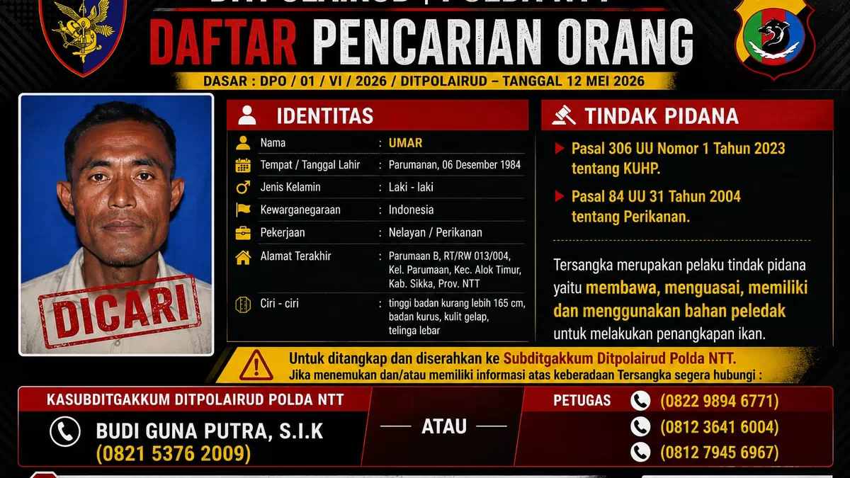 DPO Pelaku Bom Ikan di Sikka Diterbitkan, Polda NTT Tegaskan Perang Lawan Destructive Fishing