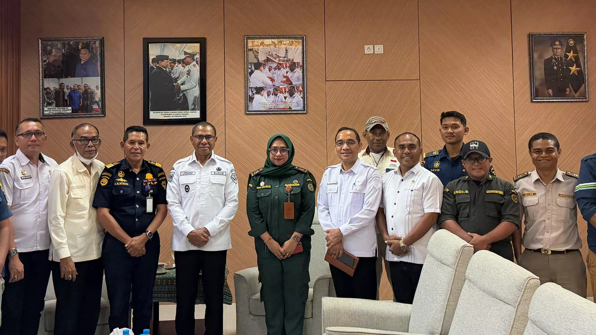 Wagub Jhoni Asadoma Tindaklanjuti Keluhan Peternak Babi, 450 Ekor Segera Dikirim ke Sumba