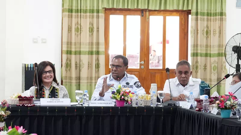 Wagub NTT Sampaikan Sejumlah Persoalan Strategis kepada Komisi IX DPR RI, dari Stunting hingga Dokter Spesialis