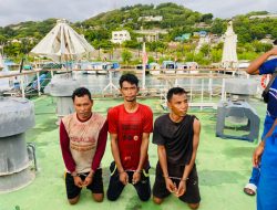 Kontak Senjata di Pulau Komodo, Ditpolairud Polda NTT dan BTNK Tangkap 3 Pemburu Rusa Asal NTB