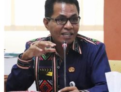 Saat Tradisi Menggerogoti Gizi, Tebas Bakar dan Tingginya Stunting di NTT