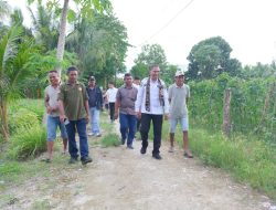Bibit Mahal, Alsintan Minim,Wagub NTT Johni Asadoma Turun Langsung Dengarkan Keluhan Petani Oesao