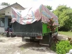 Nyaris Lolos ke Lombok, Truk Muat Santigi 13 Koli Diamankan TNI AL di Rote, Pembeli Sudah Bayar