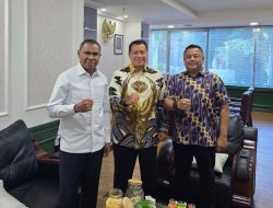 Usulan Formasi Dokter Spesialis di RSUD NTT Belum Dijawab, Wagub Jhoni Temui WamenPAN-RB
