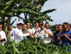 Warga Binaan Lapas Kupang Sulap Lahan Tandus Jadi Kebun Produktif Dukung MBG, Wagub NTT, Contoh Nyata