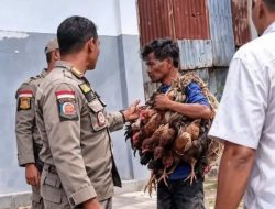 Viral Satpol PP Tertibkan Pedagang Kecil, Bupati Ratu Wulla Talu Diserbu Kritik, ‘Saya Siap Didemo