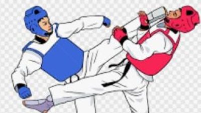 Dicopot Sepihak, Pengurus Lama Taekwondo Belu Surati PBTI Pertanyakan Legalitas Kepengurusan Baru