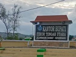 Tak Dibayar Rp4,2 Miliar, Pemkab TTU Digugat Terkait Pengadaan Vaksin Gardasil dan Sistem Digital Puskesmas
