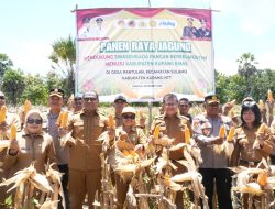 Bukti Nyata Dukung Swasembada Pangan, Wagub Johni Asadoma Hadiri Panen Raya Jagung di Kabupaten Kupang