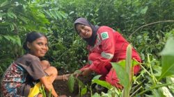 Hari Bumi, Pertamina Patra Niaga Tanam Pohon dan Libatkan Anak-anak Jaga Ekosistem Pesisir Maumere