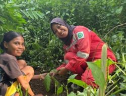 Hari Bumi, Pertamina Patra Niaga Tanam Pohon dan Libatkan Anak-anak Jaga Ekosistem Pesisir Maumere
