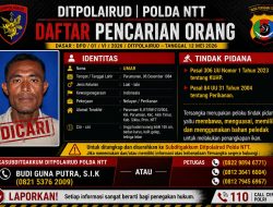 DPO Pelaku Bom Ikan di Sikka Diterbitkan, Polda NTT Tegaskan Perang Lawan Destructive Fishing