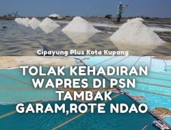 Belum Ada Kompensasi Lahan, Cipayung Plus Kota Kupang Tolak Tegas Peresmian PSN Tambak Garam di Kabupaten Rote Ndao